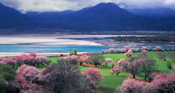 林芝(ニンティ)地区