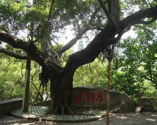 福州