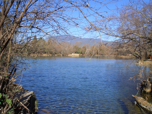 玉泉公園