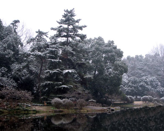 杭州観光スポット,玉泉写真集,杭州観光ポイント写真集