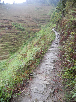 金坑棚田の万景楼から平安棚田
