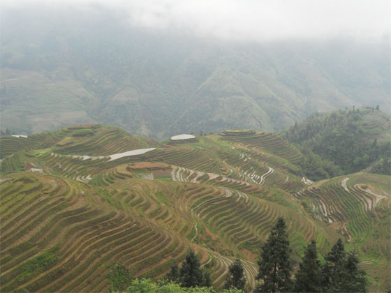 これは龍脊平安壮寨棚田