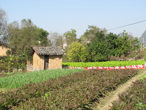 畑も水田も少ないので