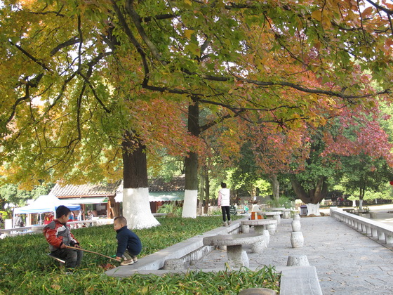 七星公園に紅葉の写真を撮る人がたくさん来ました