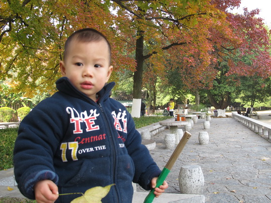 楓の葉を手にする子供