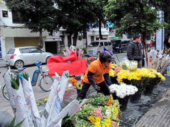 花鳥市場.桂林観光