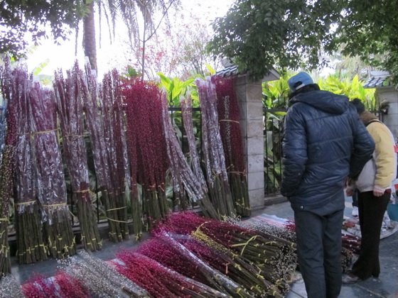 花鳥市場.桂林観光