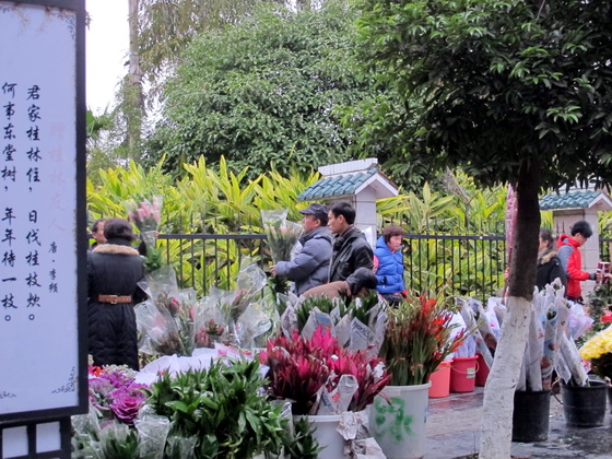 銀柳.花鳥市場.桂林観光