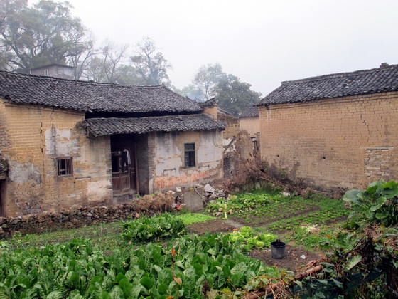 約10分歩くと、古めかしい西岸村が見えてきました