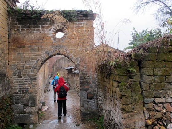 裏庭にある菜園