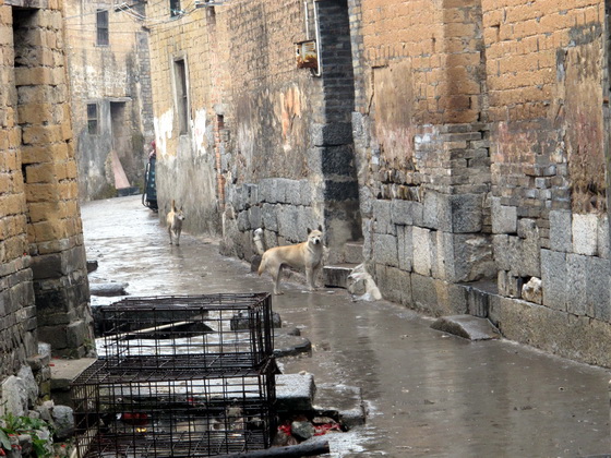 こんな石彫があります.桂林