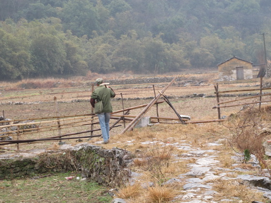 大木の右の所に木柱が数本立てられたんですね