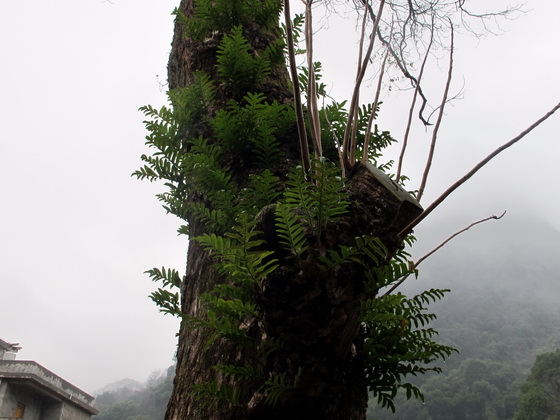 向こうの村は「上五馬村」