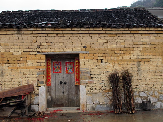 これは民間では「厚皮菜