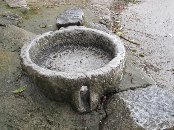 村の出入り口にある金木犀の下でしばらく休憩しました