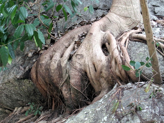 火に当たっているおじいさん.遇龍河