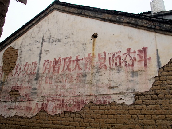 農家はよくフルーツや苗木の経済作物を栽培