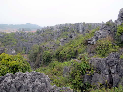 桂林観光で大発見-文市石林