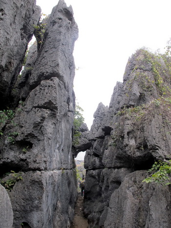 桂林観光で大発見.文市石林