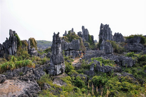 文市石林.桂林観光で大発見