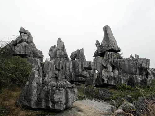 桂林観光で大発見.文市石林