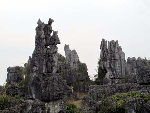 桂林観光で大発見.文市石林