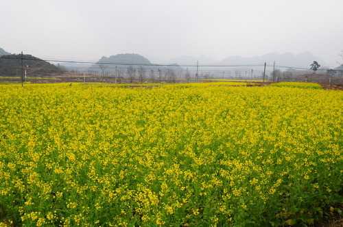 上の真ん中の額は.桂林観光