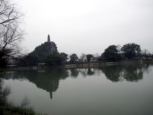 フラッシュで撮った梅の写真.桂林観光