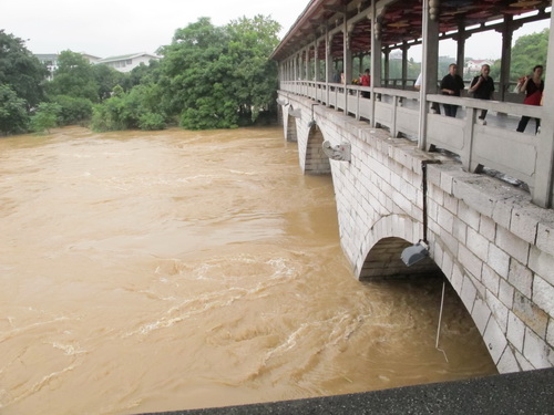 ここは七星公園の「花橋」