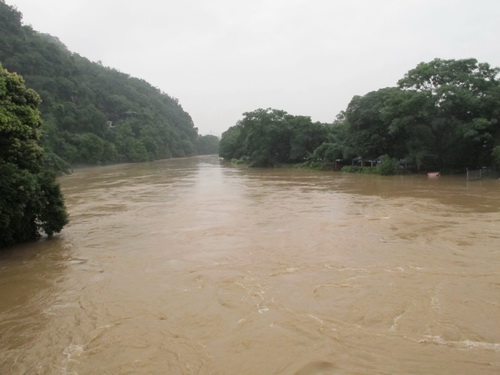 七星公園の「花橋」