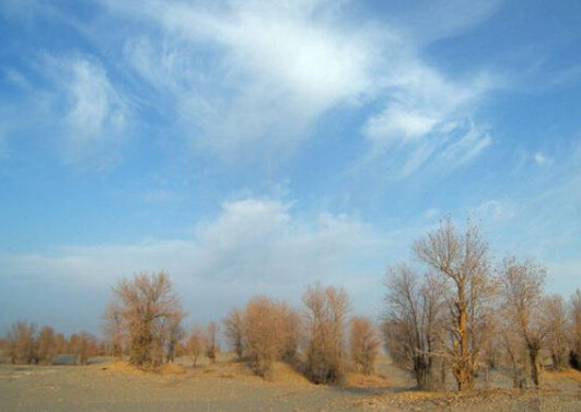 アクス地区観光・アクス地区ツアー・アクス地区－ふれあい中国