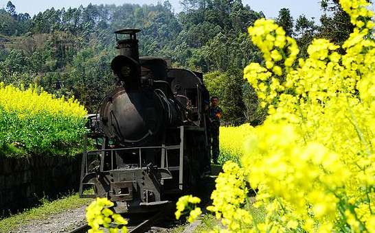 嘉陽蒸気小汽車、世界唯一現存の旅客蒸気汽車に乗ってみませんか